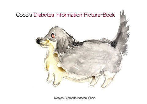 Coco's Diabetes Information Picture Book